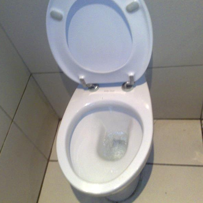 Flush Toilets