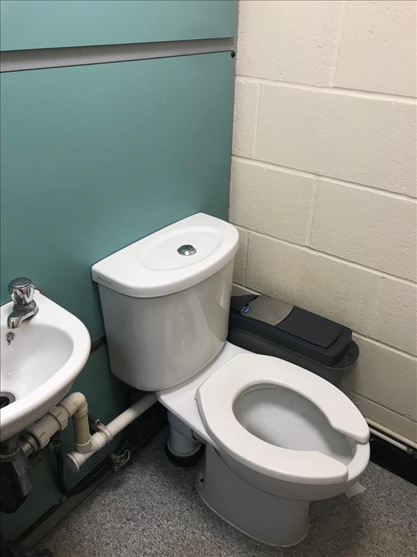 physics toilets